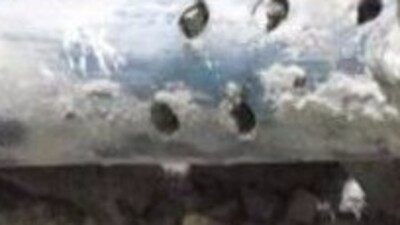 Yemen'de hava saldırısı: Çok sayıda ölü ve yaralı var!