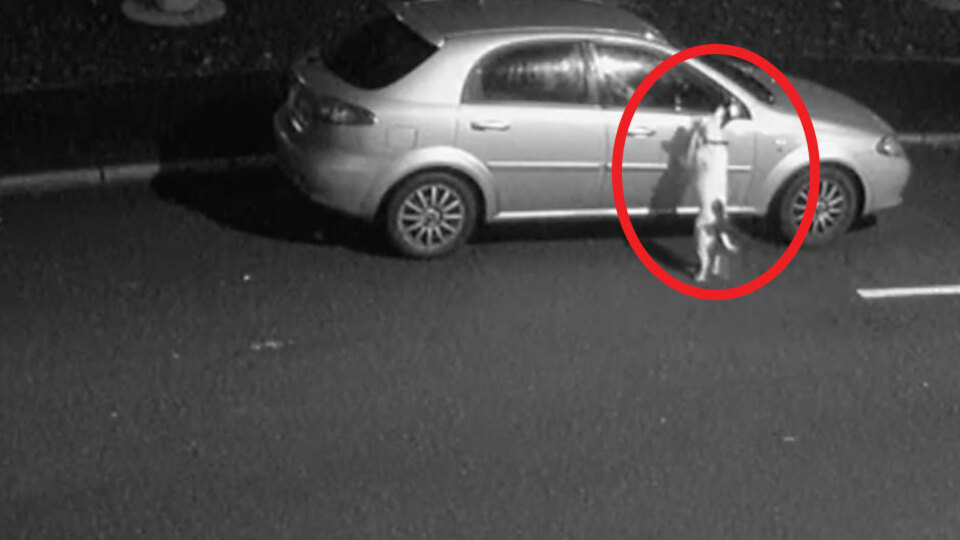 Terk edilme anları yürek dağlamıştı!