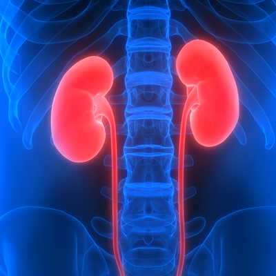 Bu belirtiler böbrek kanserine işaret!