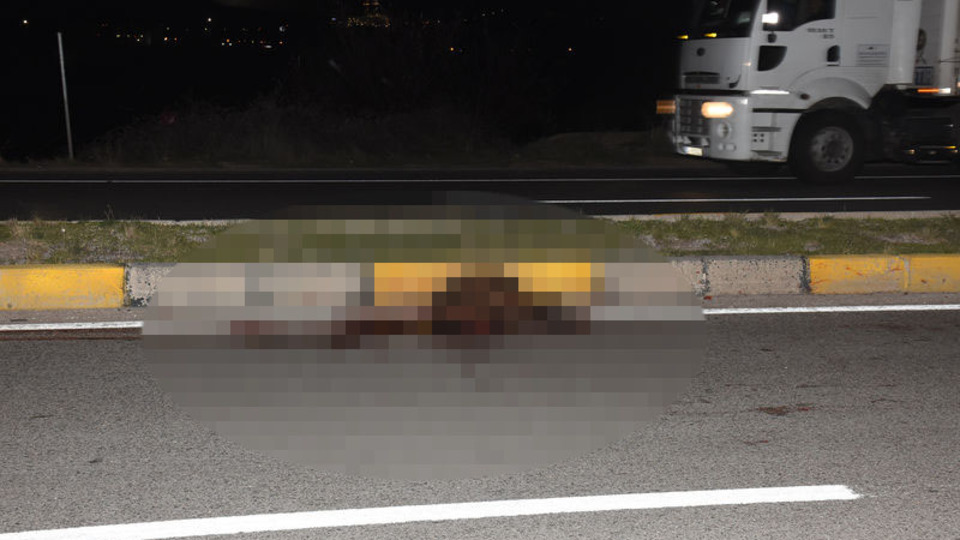 Yola inen domuz sürüsü, kazaya neden oldu