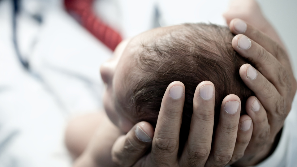 Bilim insanlarından 'yasaklayın' çağrısı!