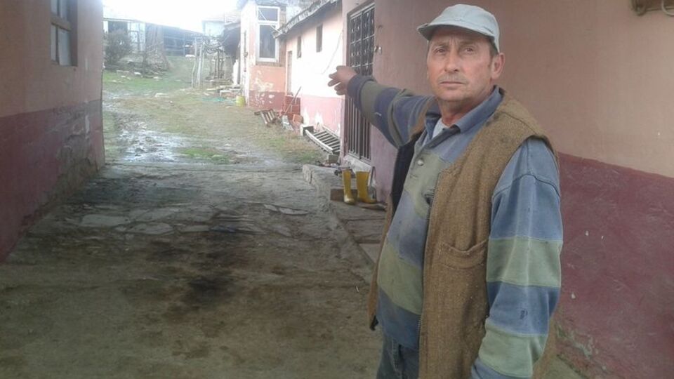 Akılalmaz hırsızlık! Köpeği uyuttular!