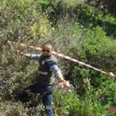 Yaban domuzu öyle bir yerde doğum yaptı ki!