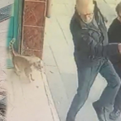 Bakın şu haylaz kedinin yaptıklarına!