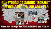Güneydoğu’da sandık “Borani” gibi, her partiden bir aday var