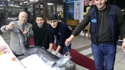 Hayrete düştüler! 41 kiloluk dev