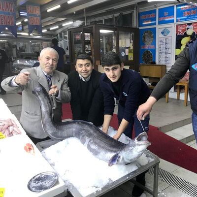 Hayrete düştüler! 41 kiloluk dev