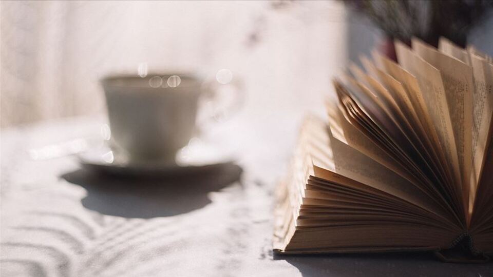 Geçen yıl en çok o yazarlar okundu