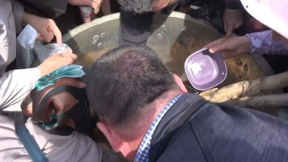 Mesir macunu izdihamı