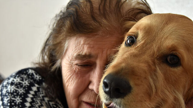 Köpeği 'Şanslı" için evini satıyor!