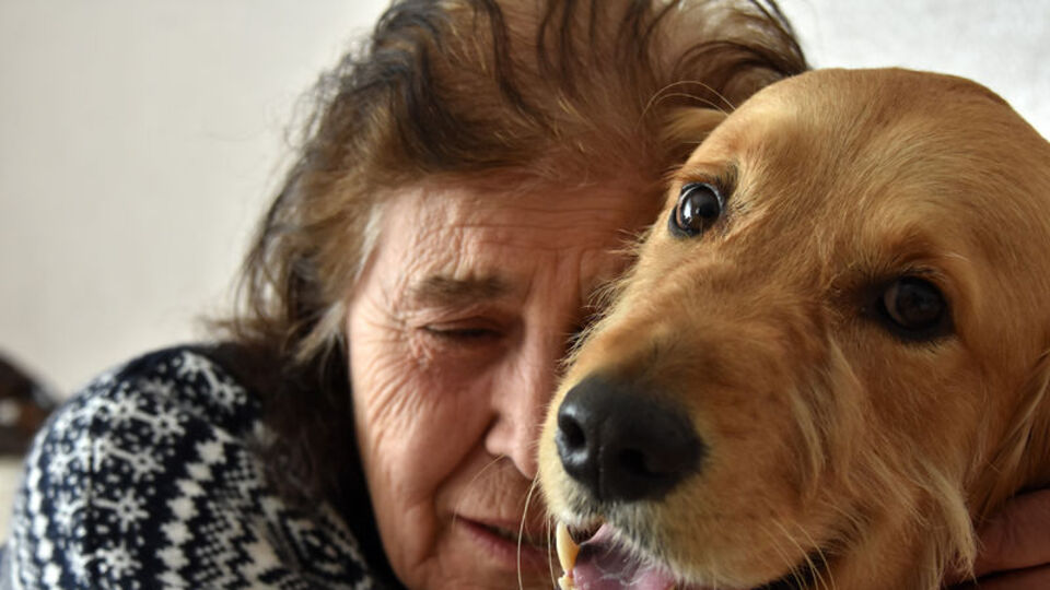 Köpeği 'Şanslı" için evini satıyor!