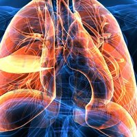 İnsanlık tarihindeki en büyük salgın!