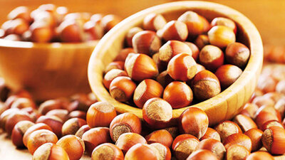 Fındıkta sigorta poliçesi sayısı 80 bini aştı