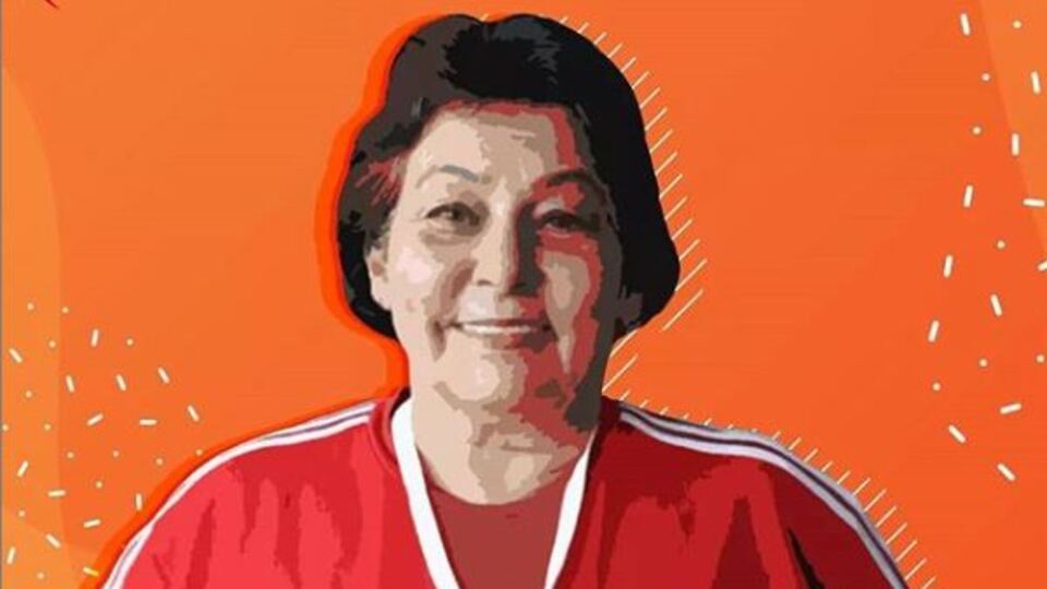 Eleq ipucu sorusu cevabı