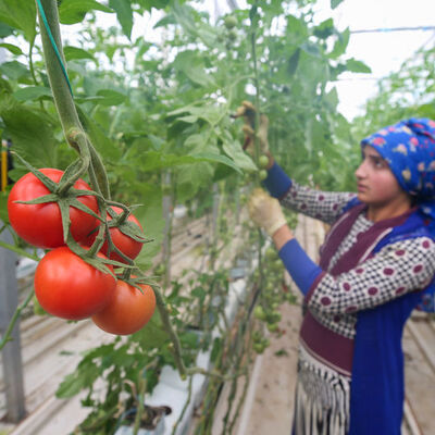 Donacağız! Çiftçi ve seracılara uyarı!