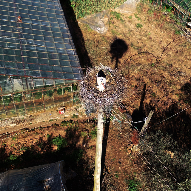 Baharı onlar müjdeliyor! 15 yıldır...