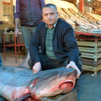 Bu dev başını yaktı! Haberleri izleyince harekete geçtiler
