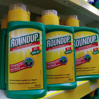 Dev şirkete şok! 80 milyon dolar cezaya çarptırıldı