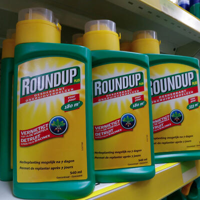 Dev şirkete şok! 80 milyon dolar cezaya çarptırıldı