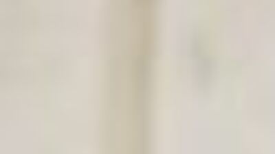 Kongrede Pompeo'ya 'Kaşıkçı' tepkisi