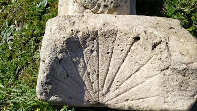 Çalılıklar arasında bulundu!