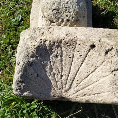 Çalılıklar arasında bulundu!