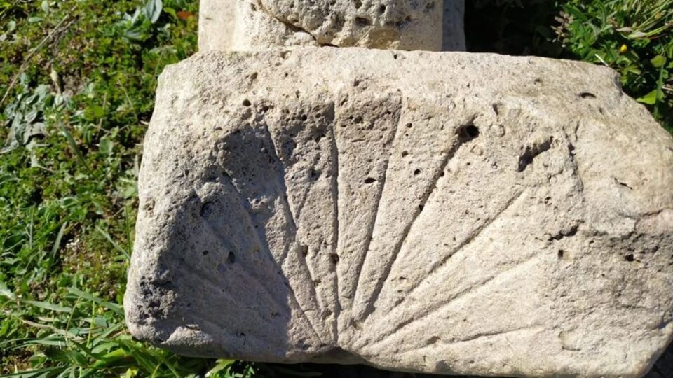 Çalılıklar arasında bulundu!