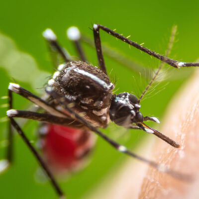 Bir milyardan fazla insan risk altında