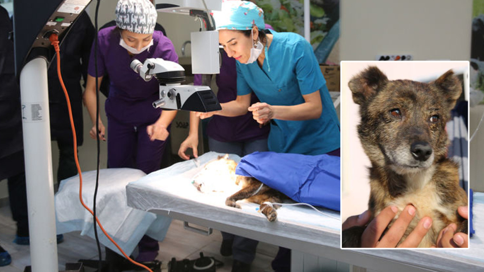 Katarakt ameliyatı ile artık görüyor!