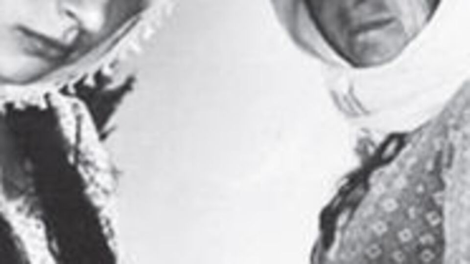 Eleq ipucu cevabı 29 Mart