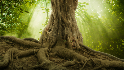 "Aşk büyük yalanımız. Olmayışıyla bizi ele geçiriyor"