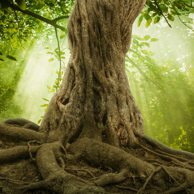 “Aşk büyük yalanımız. Olmayışıyla bizi ele geçiriyor”