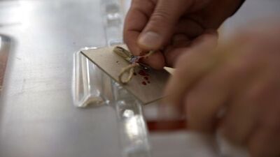 Seçim öncesi ve sonrası 4 kişi yaşamını yitirdi!