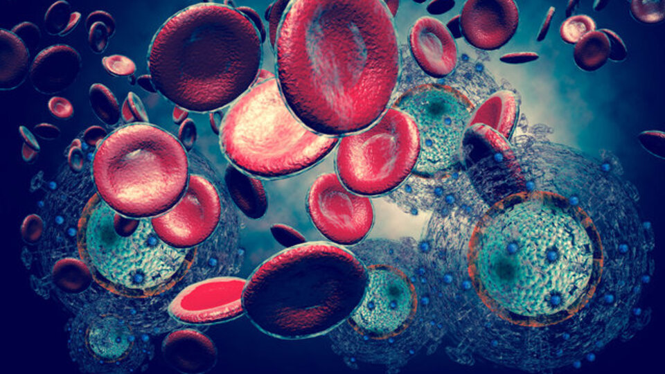 Erken evrede yakalanan o kanserler tedavi ediliyor