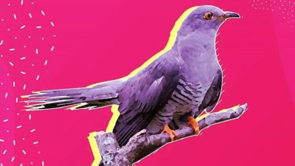 Eleq ipucu sorusu cevabı 1 Nisan