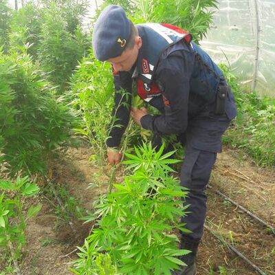 Jandarma bile buna şaşırdı!