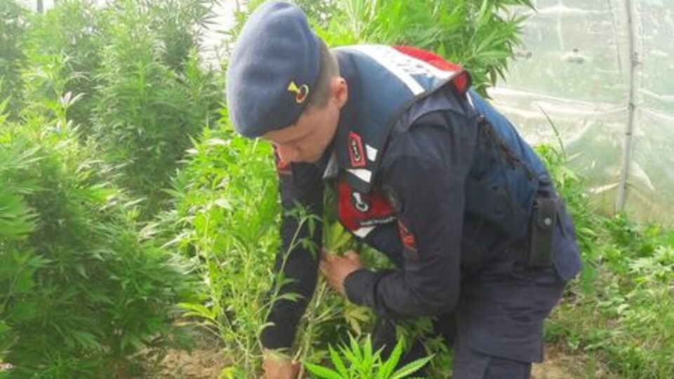 Jandarma bile buna şaşırdı!