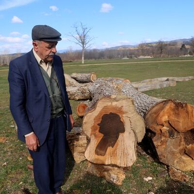 Şaşkına çeviren silüet