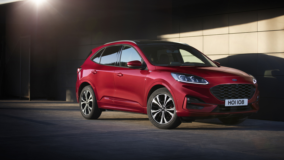 Üçüncü nesli gün yüzüne çıktı!