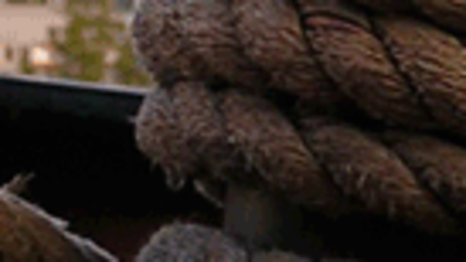 Hadi ipucu cevabı 3 Nisan!