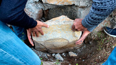 Salyangoz sandılar bakın ne çıktı?
