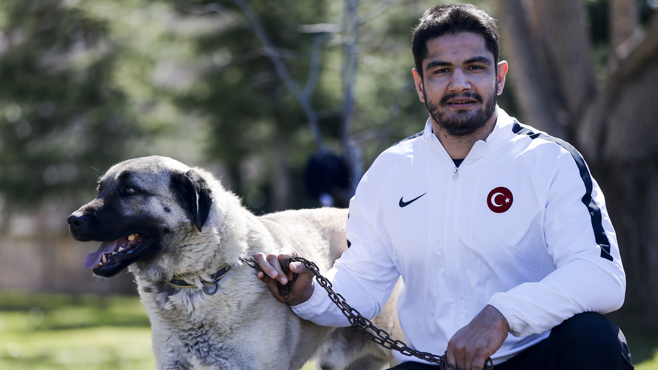 Yiğido 7. şampiyonluğu istiyor