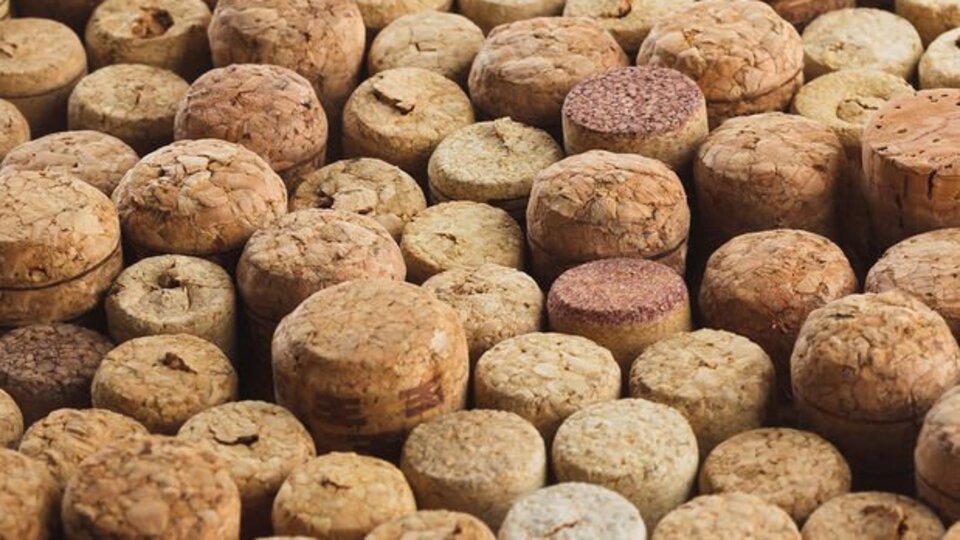 Meğer bir damlası bile zehirmiş!