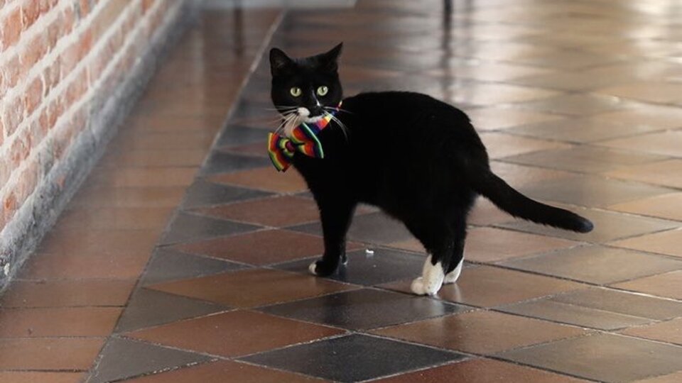 İngiltere'de 'eşitlik' ataması