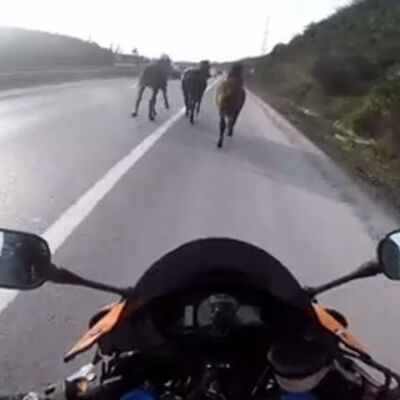 Otoyolda motosikletli 'kovboylar'