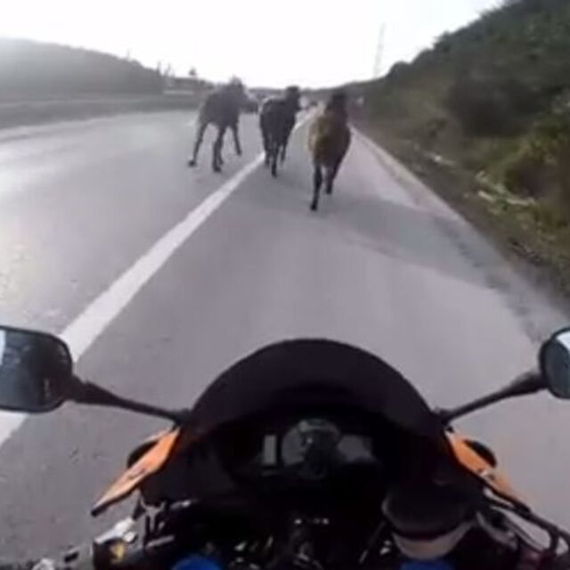 Otoyolda motosikletli 'kovboylar'