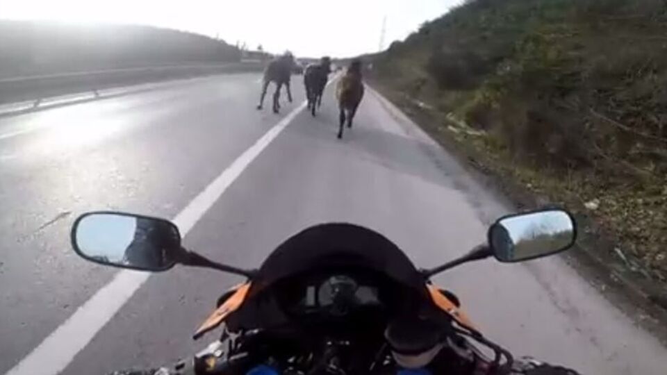 Otoyolda motosikletli 'kovboylar'