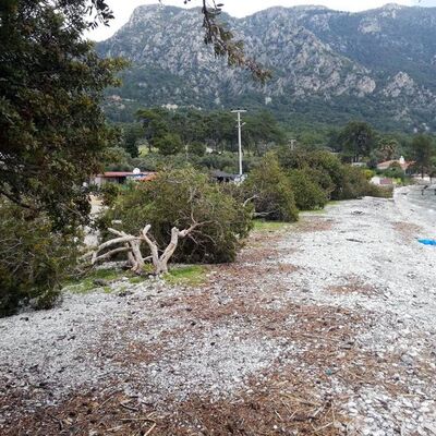 Akbük Koyu'nda 'kamp alanı' katliamı