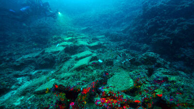 "Dünyanın en eskisi olduğunu düşünüyoruz"