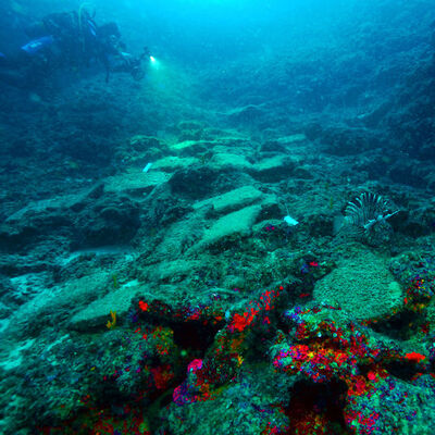 "Dünyanın en eskisi olduğunu düşünüyoruz"